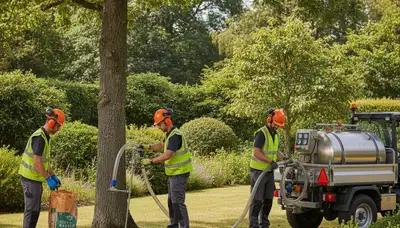 Fort Worth, TX tree care crew applying fertilizer to promote healthy tree growth