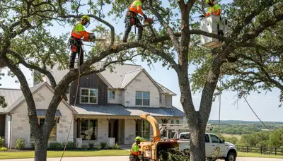 Tree service crew trimming a Fort Worth, TX tree for safe, professional maintenance